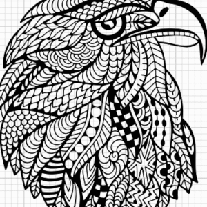 detailed-eagle